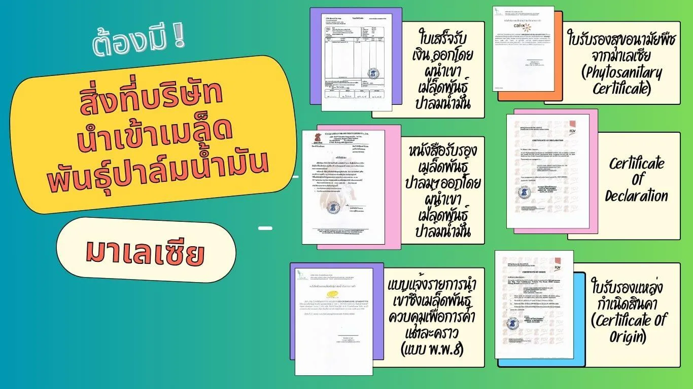 สิ่งที่บริษัทนำเข้าเมล็ดพันธุ์ปาล์มน้ำมัน จากมาเลเซีย ต้องมี