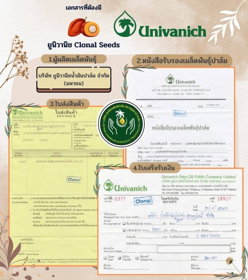 Univanich Clonal Seeds Certificates
