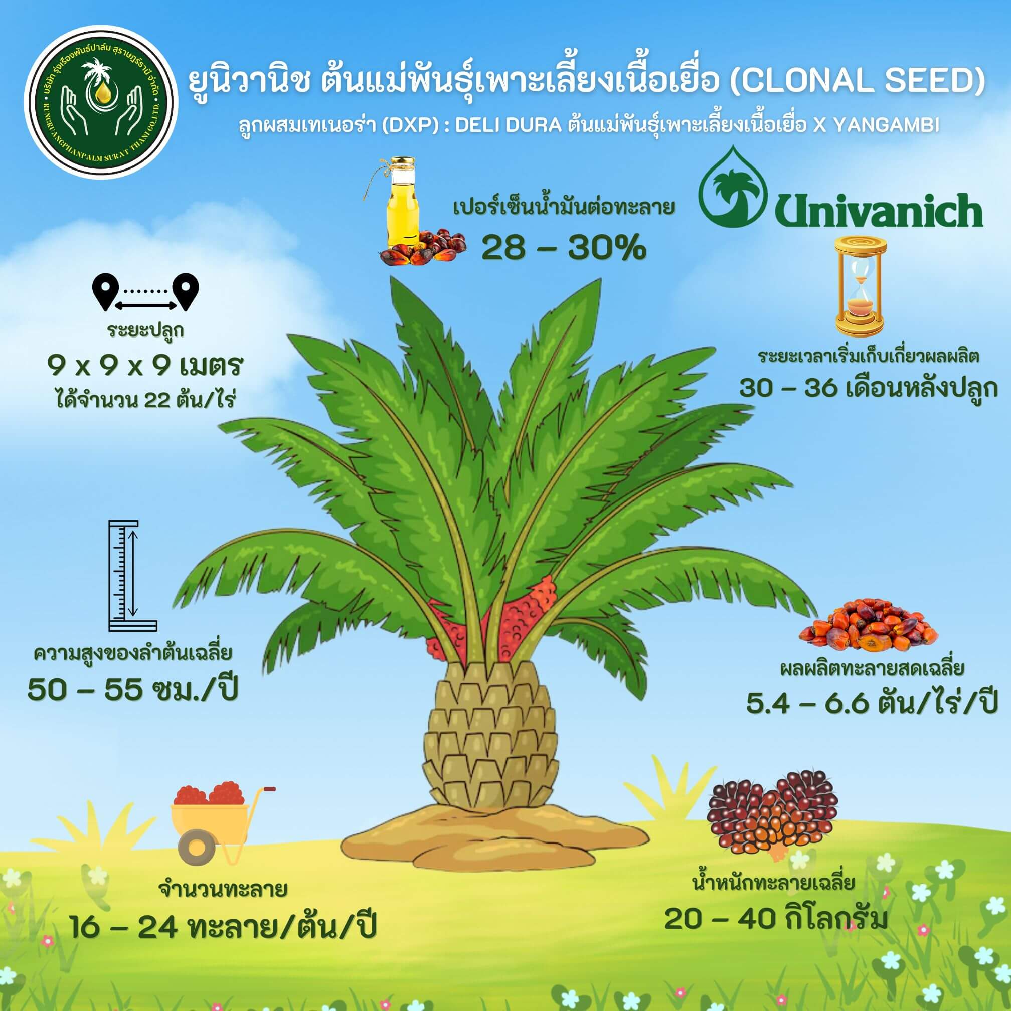 Univanich Clonal Seeds
