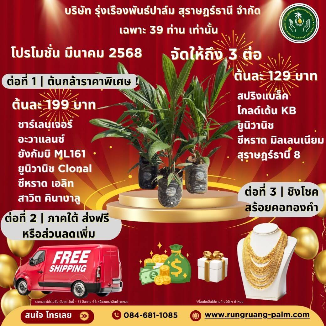 โปรโมชั่น มีนาคม 2568 จัดให้ถึง 3 ต่อ