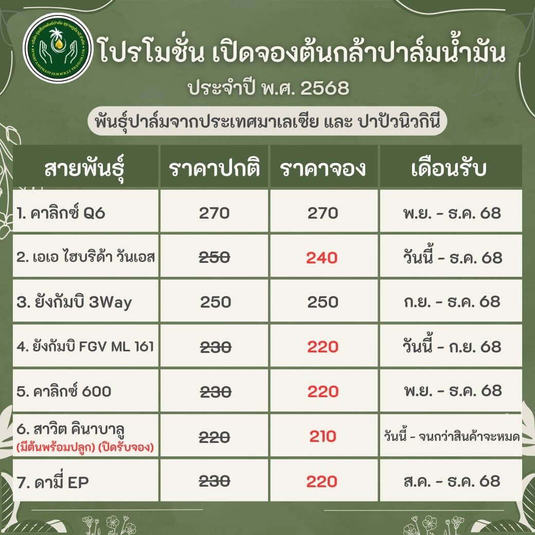 พันธุ์ปาล์ม มาเลเซีย