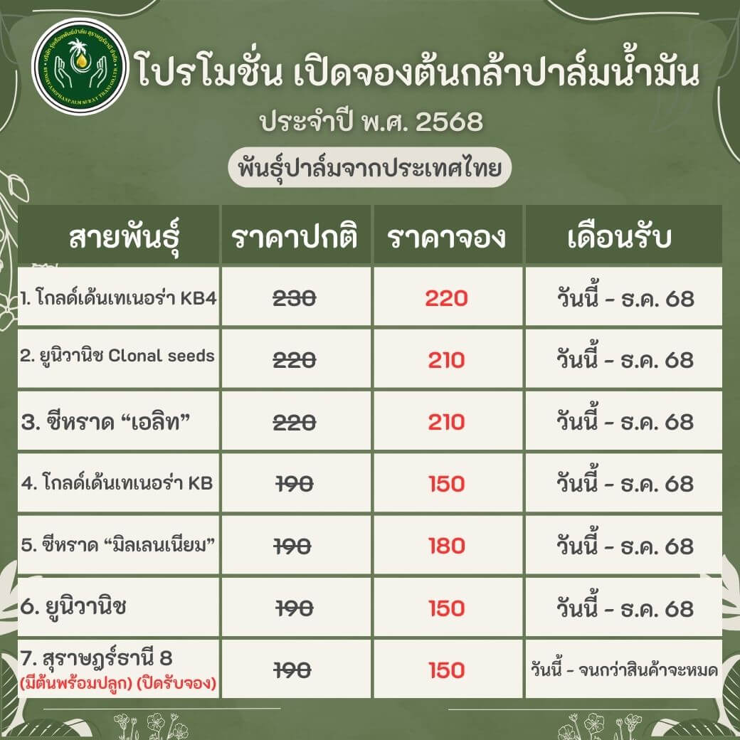 พันธุ์ปาล์ม ไทย