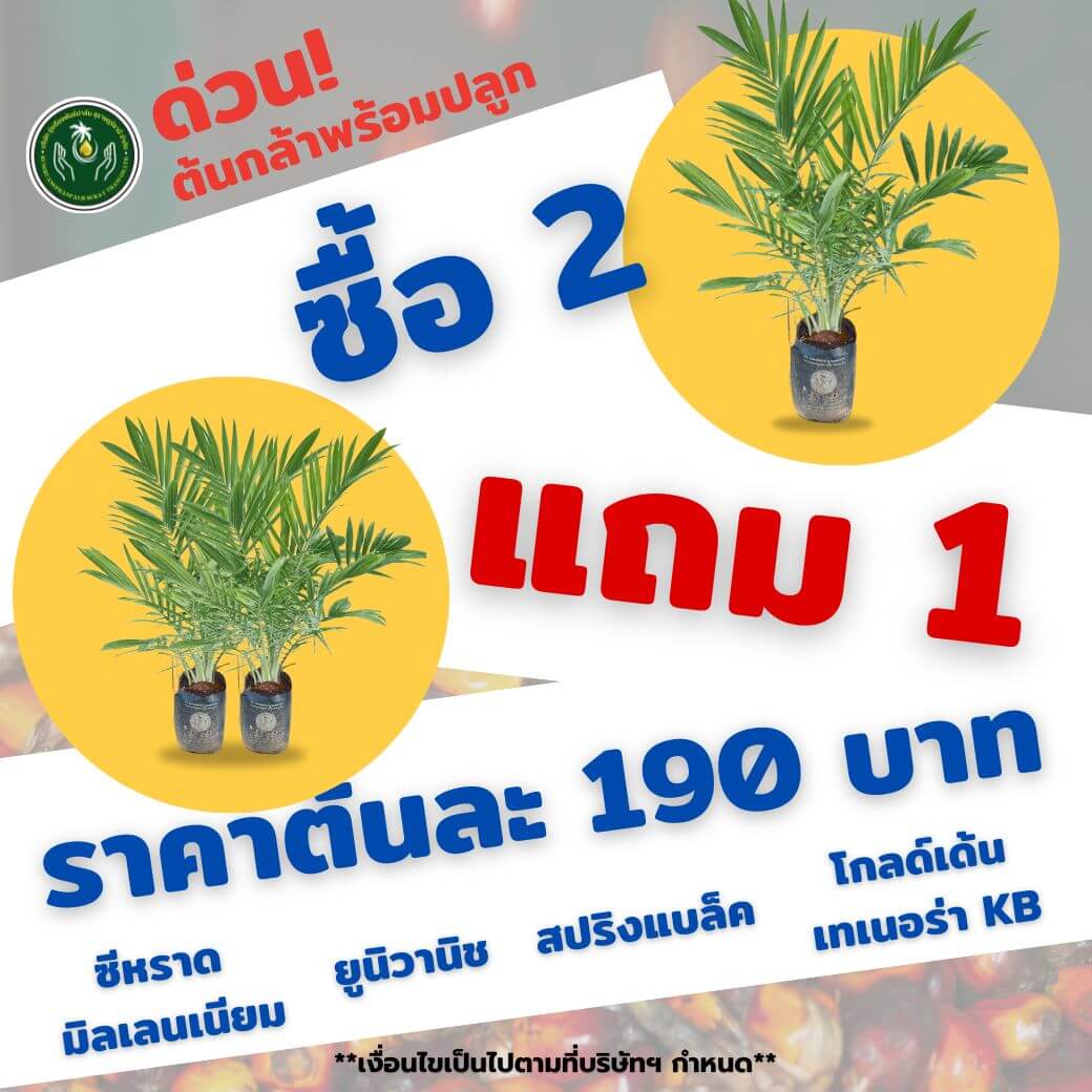 Buy2Get1Free