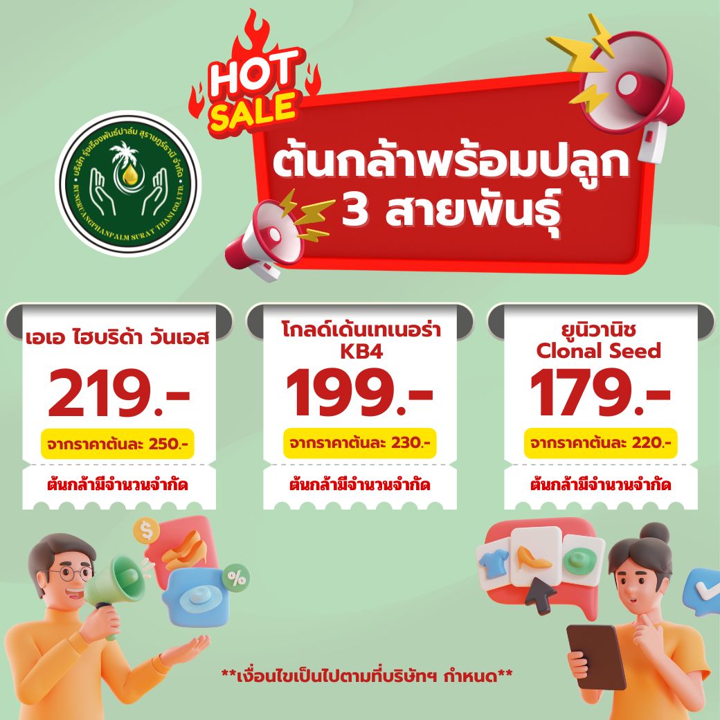 HOT SALE ต้นกล้าพร้อมปลูก